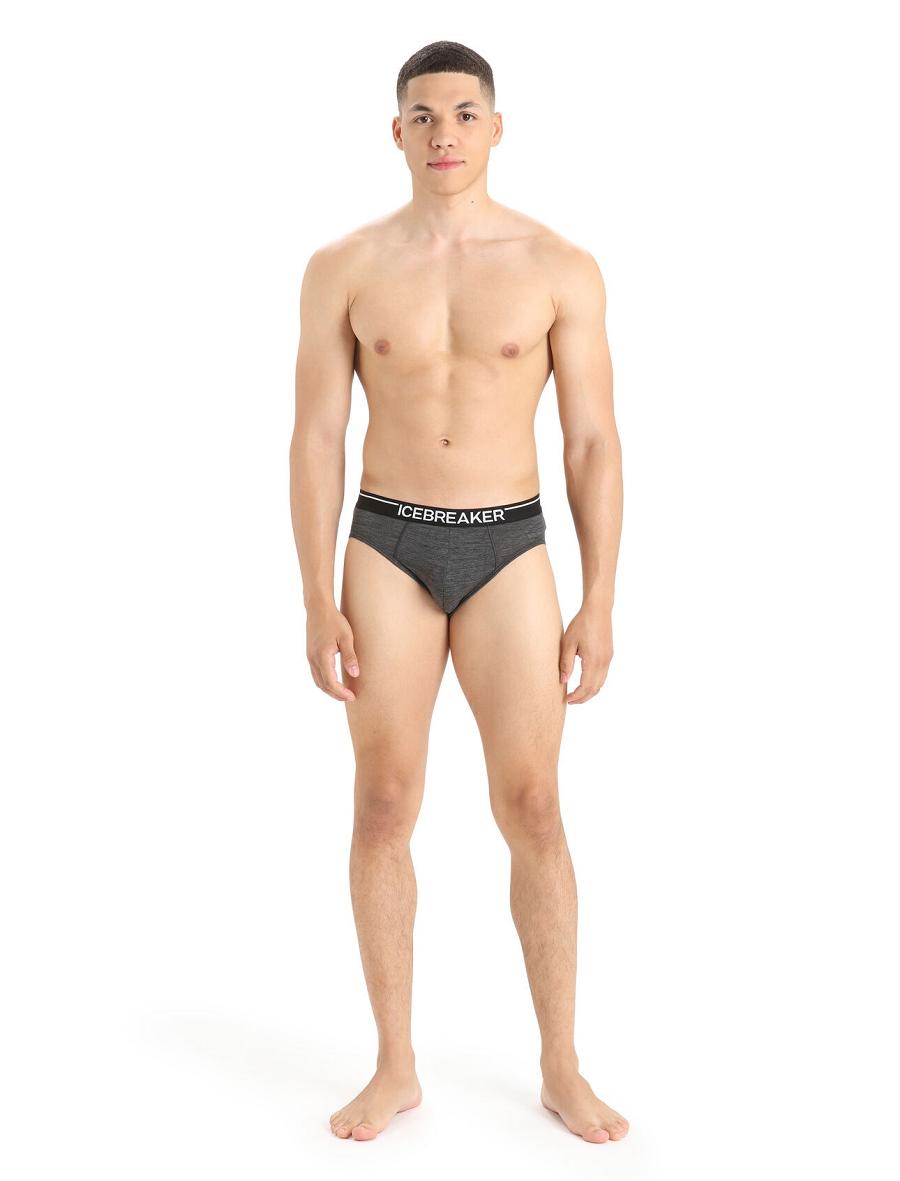 Sous Vêtement Icebreaker Merino Anatomica Briefs Homme Noir Grise | FR 1298KORI